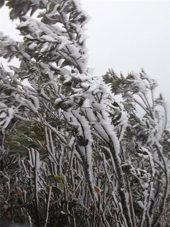 Mẫu Sơn 0 độ C, xuất hiện băng giá - Ảnh 5.