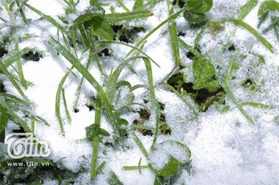 Do mặt đường có mưa bị đóng băng nên không chuẩn bị kỹ lốp gai cho xe máy mà vẫn dùng lốp trơn bình thường nên vừa rồi anh và bạn đường suýt bị ngã ở đoạn cua.