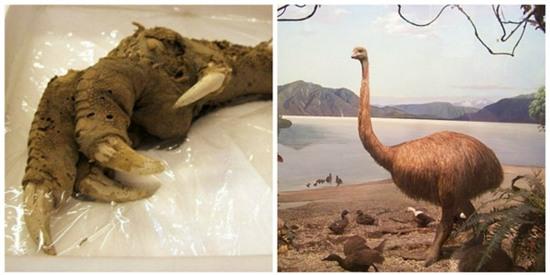 10 bí ẩn khoa học mà chưa một ai giải thích nổi - Ảnh 1.