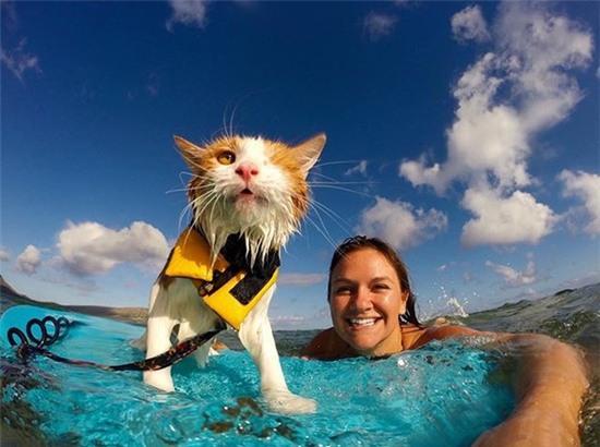 Soái miu một mắt đầu đội trời chân đạp ván lướt sóng cực ngầu - Ảnh 15.