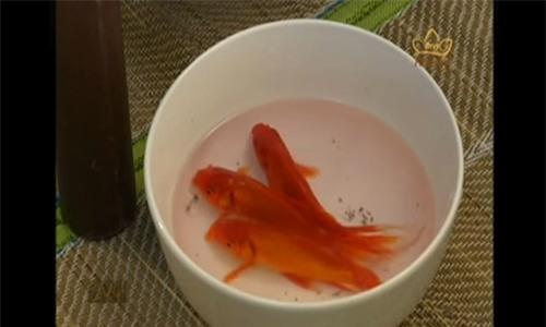 Nên mua cá chép thật hay cá chép giấy cúng ông Táo?