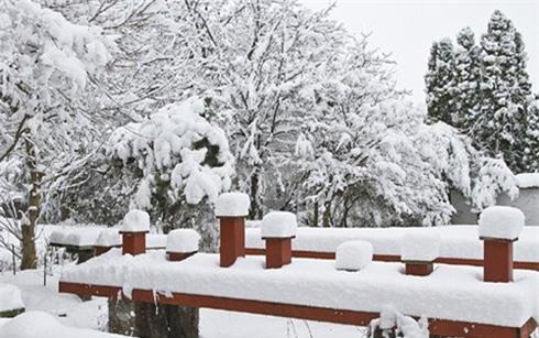 dong a hung chiu dot gia ret ky luc trong nhieu thap ky hinh anh 2