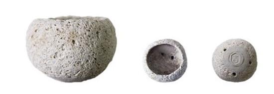 video: thich thu voi cay lo lung giua khong trung hinh anh 4