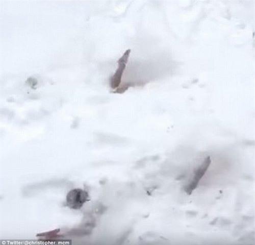 nguoi my dua nhau mac do boi nhay cam minh trong tuyet hinh anh 4