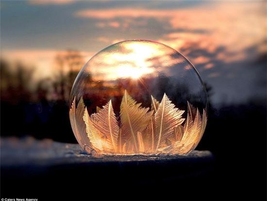Cùng ngắm nhìn những bong bóng đóng băng lấp lánh trên mặt hồ giá rét, tạo ra một cảnh tượng tuyệt đẹp và cực kì nghệ thuật. Điều này sẽ khiến cho người xem cảm nhận được sự lạnh lẽo và tuyệt vời của mùa đông.