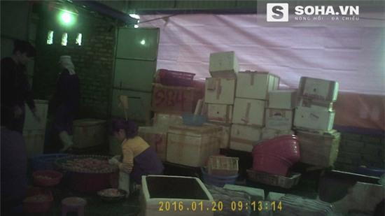 39.000 một kg mực tươi và những chiêu trò ai cũng phải ớn lạnh - Ảnh 1.