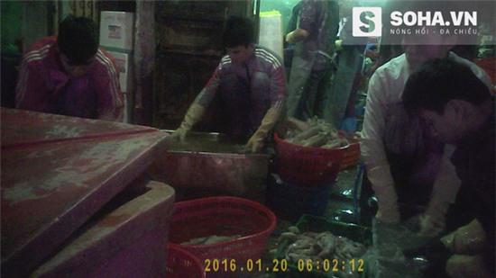 39.000 một kg mực tươi và những chiêu trò ai cũng phải ớn lạnh - Ảnh 2.