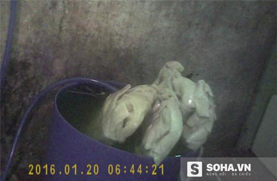 39.000 một kg mực tươi và những chiêu trò ai cũng phải ớn lạnh - Ảnh 3.