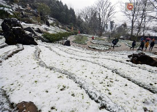 Miền Bắc sẽ ấm lên trước khi đón đợt rét đậm mới - Ảnh 1.