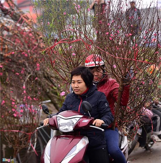 Ùn tắc nhiều km ở chợ hoa Tết nổi tiếng miền Bắc