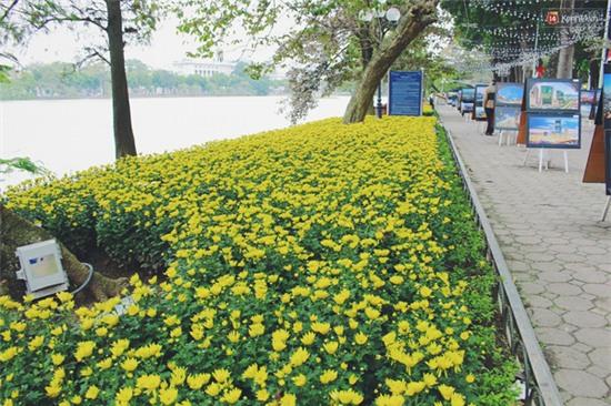 Cận cảnh những thảm hoa ở bên hồ Hoàn Kiếm thủng lỗ chỗ vì bị lấy trộm - Ảnh 5.