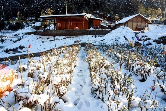 Tuyết phủ trắng thị trấn Sa Pa, Lào Cai (Ảnh: Toàn Nguyễn)