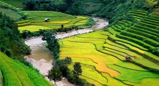 7-thung-lung-dep-nhu-tranh-o-viet-nam-nen-ghe-dip-tet