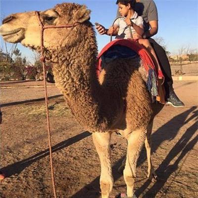 c-ronaldo-phot-lo-lenh-cam-cua-real-2