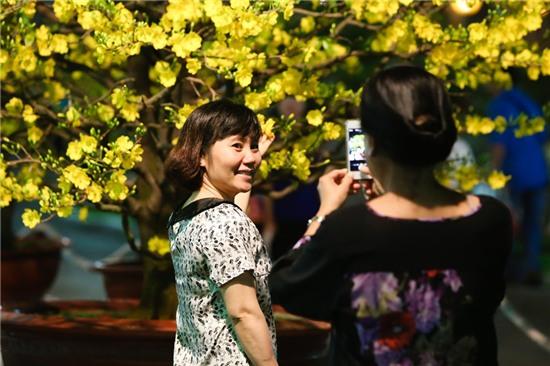 Rộn ràng khai mạc hội hoa xuân Tao Đàn