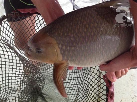 đặc sản, tiền triệu, biếu tết, 2016, đại gia, tiến vua