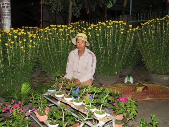cau noi khien dan ban hoa tet “dau long” hinh anh 1