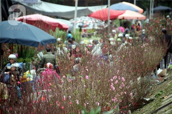 chợ hoa quảng bá