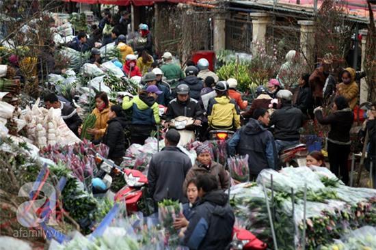 chợ hoa quảng bá
