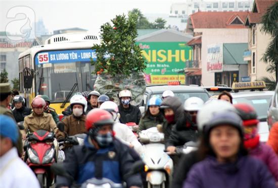 chợ hoa quảng bá