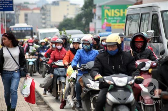 chợ hoa quảng bá