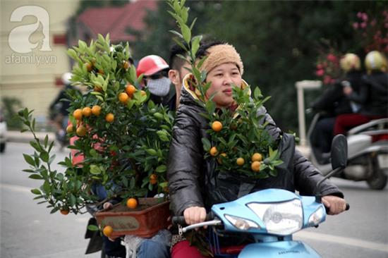 chợ hoa quảng bá