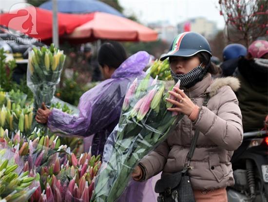chợ hoa quảng bá