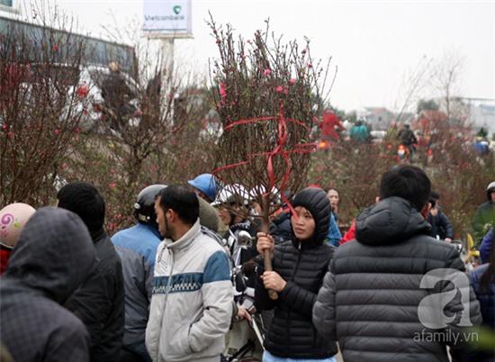 chợ hoa quảng bá