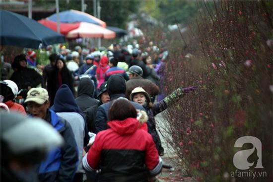 chợ hoa quảng bá