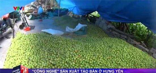 Bất ngờ với công nghệ sản xuất táo tàu không thể độc hại hơn - Ảnh 2.