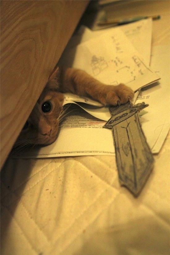 20 khoảnh khắc làm trò đáng yêu nhất trần đời của team mèo đỏng đảnh - Ảnh 5.