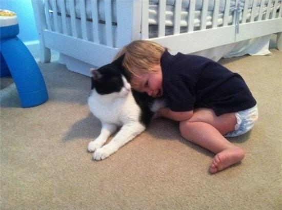 20 khoảnh khắc làm trò đáng yêu nhất trần đời của team mèo đỏng đảnh - Ảnh 13.