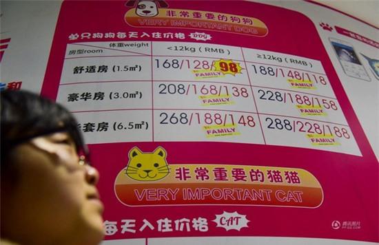 Cháy phòng khách sạn dành cho thú cưng dịp Tết Nguyên Đán - Ảnh 2.