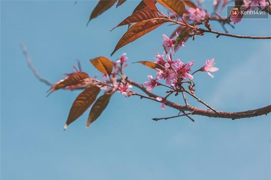 Giới trẻ đi du lịch ở đâu trong những ngày còn lại của kỳ nghỉ Tết? - Ảnh 2.