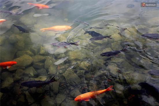 Giới trẻ đi du lịch ở đâu trong những ngày còn lại của kỳ nghỉ Tết? - Ảnh 30.