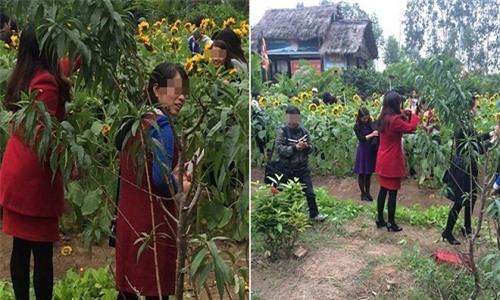 Bài Tết Những hành động xấu xí của sửu nhi dịp Tết