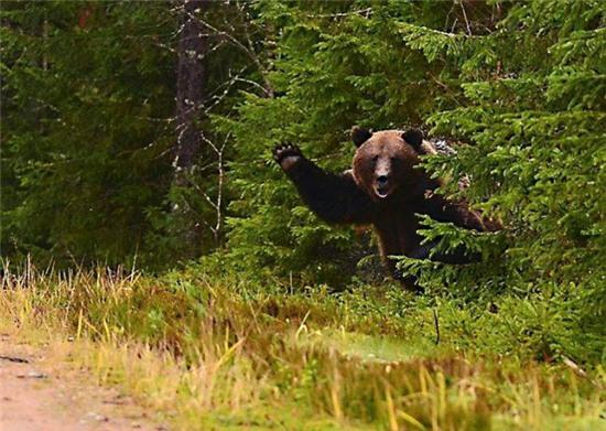 Ối giời ơi, làm gì mà "căng" thế - 10