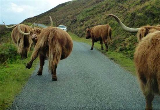 Ối giời ơi, làm gì mà "căng" thế - 8