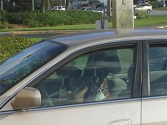 Ối giời ơi, làm gì mà "căng" thế - 9