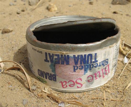 Một hộp cá hồi ở AI Cập tương đương với 1 USD.