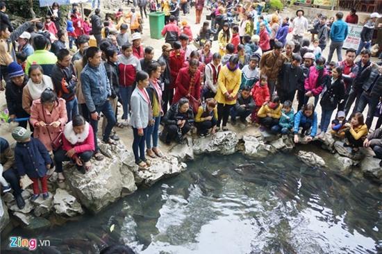 Du khách đổ về suối cá thần cầu may