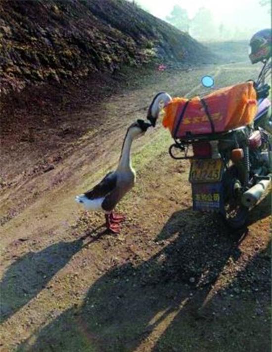 Chuyện tình ngang trái của cặp tiên đồng ngọc ngỗng khiến bao người phải rơi lệ - Ảnh 1.