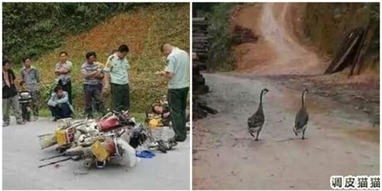 Chuyện tình ngang trái của cặp tiên đồng ngọc ngỗng khiến bao người phải rơi lệ - Ảnh 2.