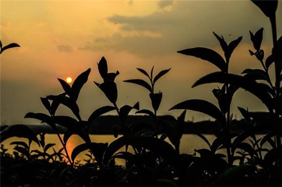 Khám phá 'vịnh Hạ Long của Tây Nguyên'