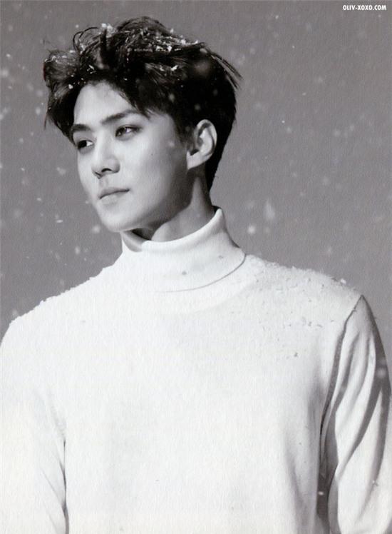 Thời kỳ tỏa sáng của từng thành viên EXO qua các ca khúc - Ảnh 20.