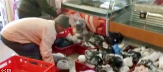 Kinh hoàng thịt đông lạnh 35 năm chuẩn bị đem bán