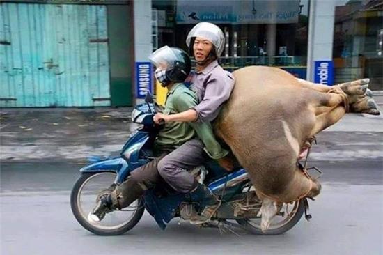 Những hình ảnh kinh điển trên đường phố Việt Nam khiến ai cũng phải há hốc mồm - Ảnh 6.