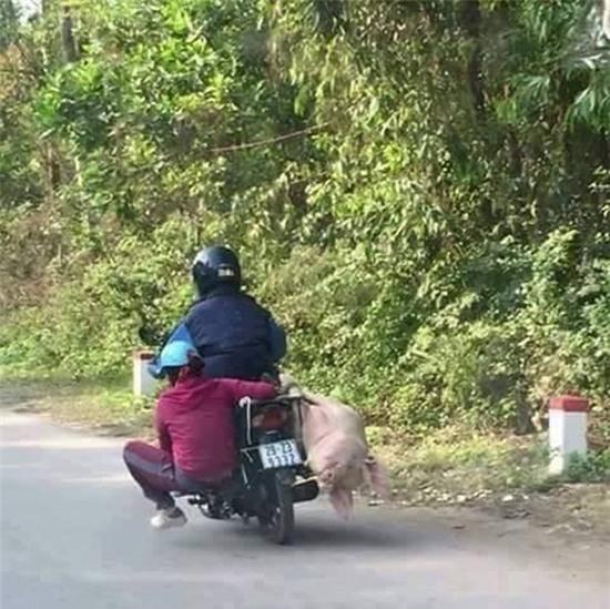 Những hình ảnh kinh điển trên đường phố Việt Nam khiến ai cũng phải há hốc mồm - Ảnh 9.