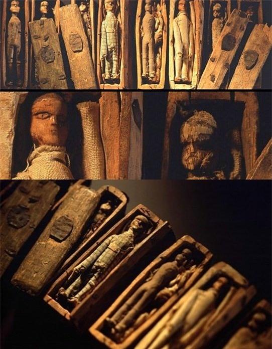 nhung cau chuyen ky la ve co quan tai hinh anh 10