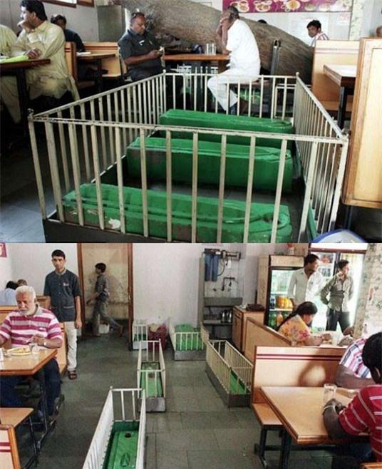 nhung cau chuyen ky la ve co quan tai hinh anh 2